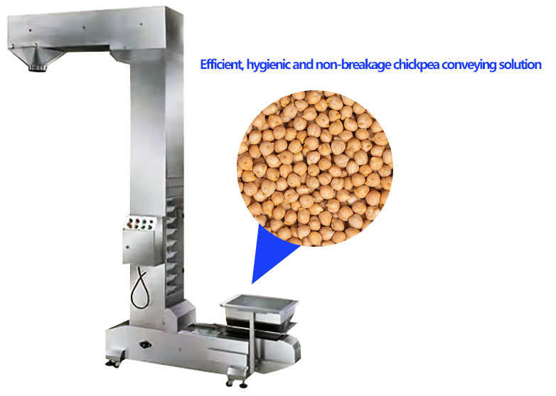 Dried chickpeas Z Bucket Elevator