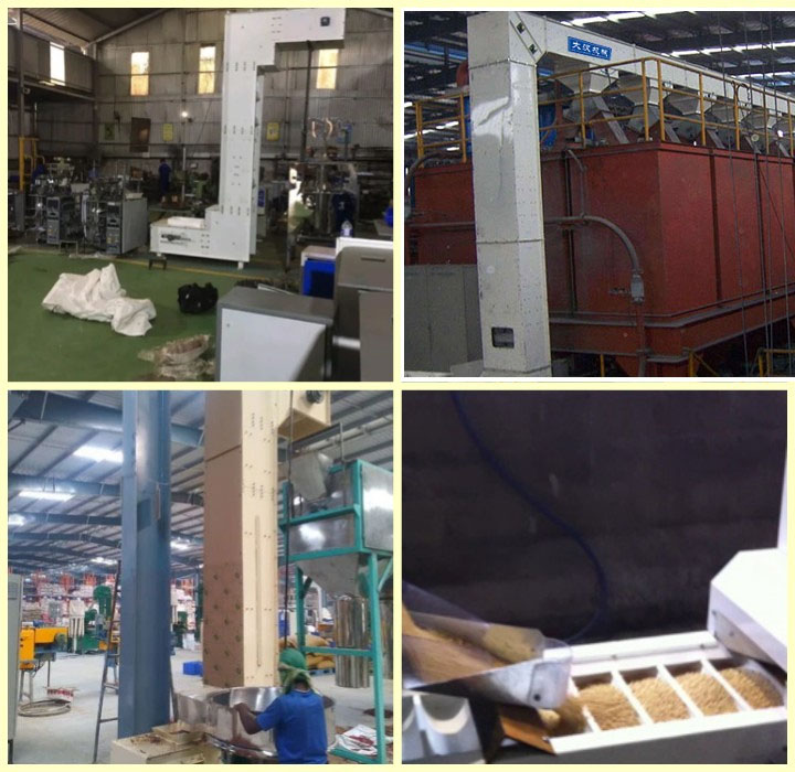 rice Z type bucket conveyor